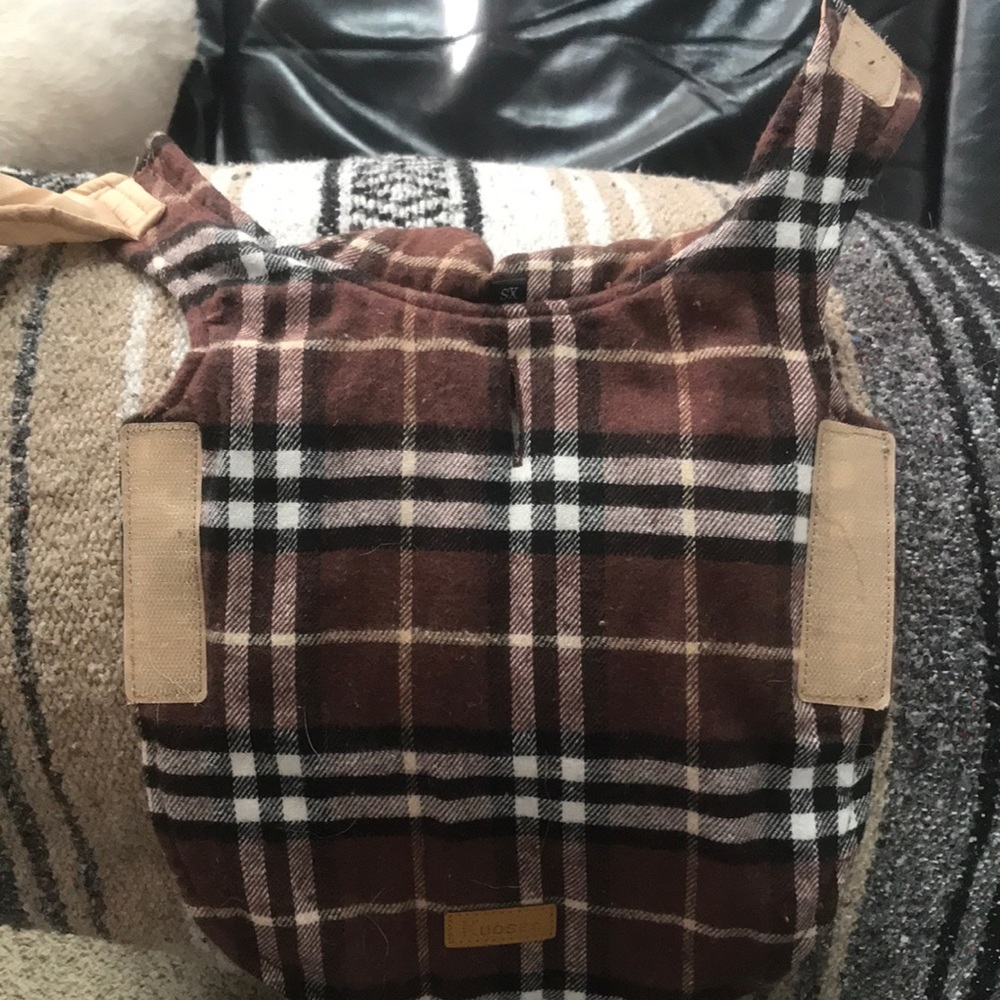 Small dog revers-able